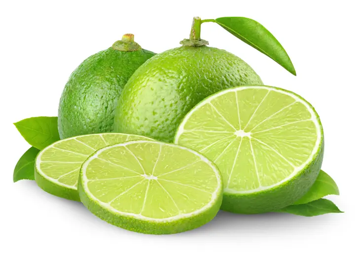 Persian Lime one of our Fruit Products 